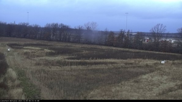 Cell 2_23-12-09_08-14-10-81