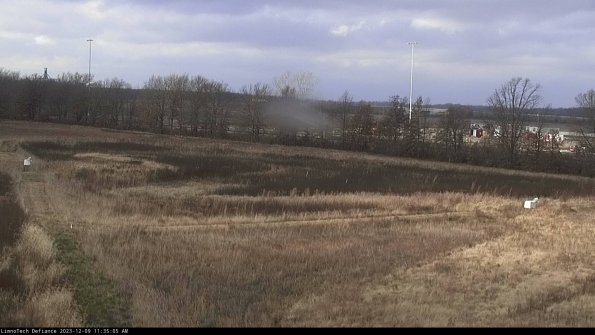 Cell 2_23-12-09_11-35-05-78