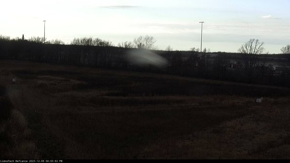 Cell 2_23-12-09_16-03-02-80