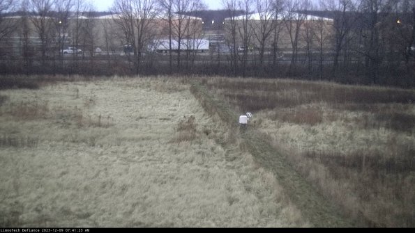 Cell 3 to 4_23-12-09_07-41-23-77