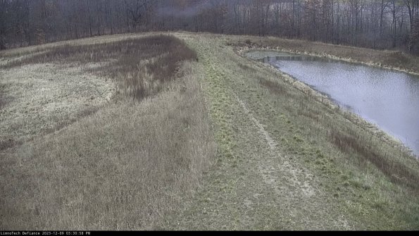 Cell 4 to Basin_23-12-09_15-30-58-80