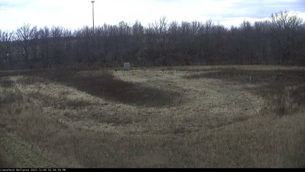 Cell 4_23-12-09_14-56-58-79