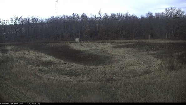 Cell 4_23-12-09_16-03-57-79