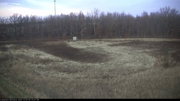 Cell 4_23-12-09_17-10-57-79