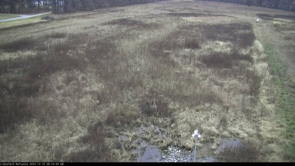 Cell 1_23-12-10_08-14-03-78