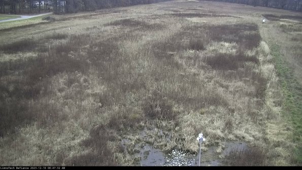 Cell 1_23-12-10_08-47-32-79