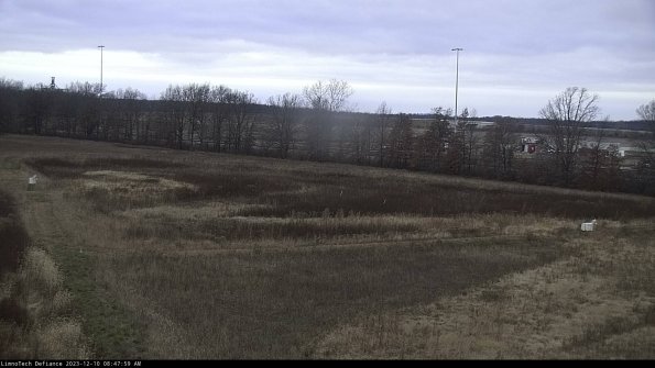 Cell 2_23-12-10_08-47-59-82