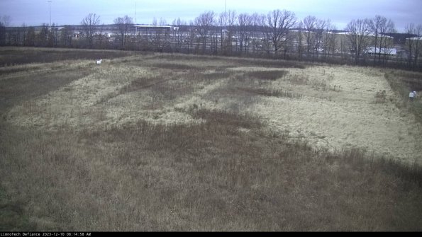 Cell 3_23-12-10_08-14-58-77