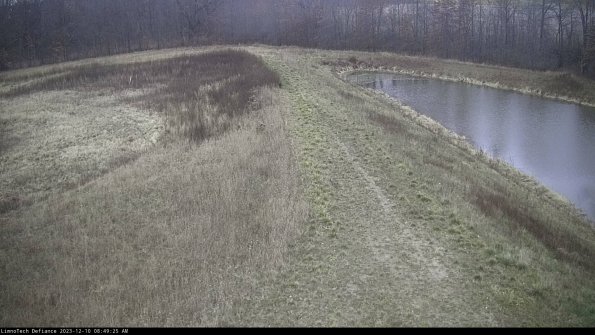 Cell 4 to Basin_23-12-10_08-49-25-80