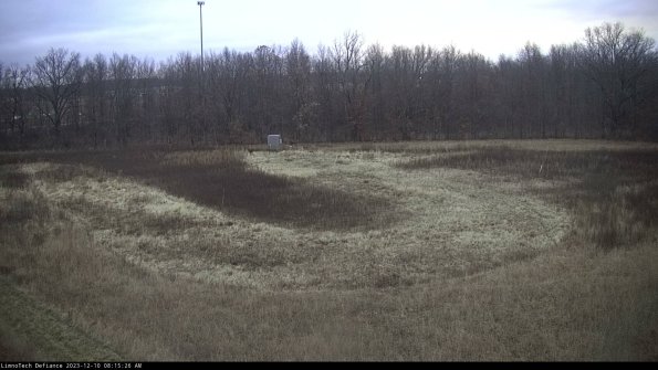 Cell 4_23-12-10_08-15-26-80