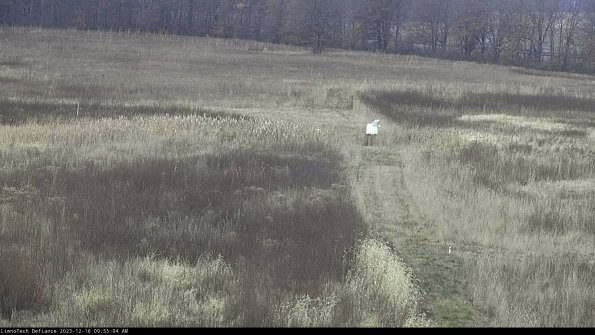 Cell 1 to 2_23-12-16_09-55-04-60