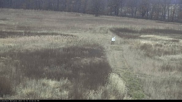 Cell 1 to 2_23-12-16_12-42-32-59