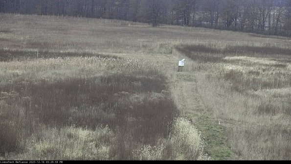 Cell 1 to 2_23-12-16_15-29-58-64