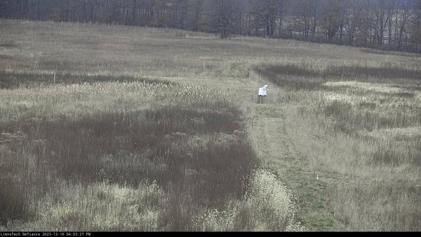 Cell 1 to 2_23-12-16_16-03-27-62