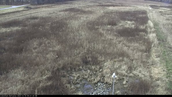 Cell 1_23-12-16_09-21-20-60