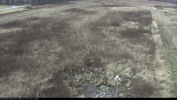 Cell 1_23-12-16_11-35-18-61