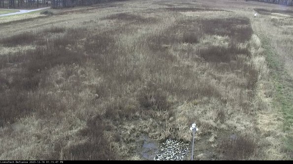 Cell 1_23-12-16_13-15-47-62