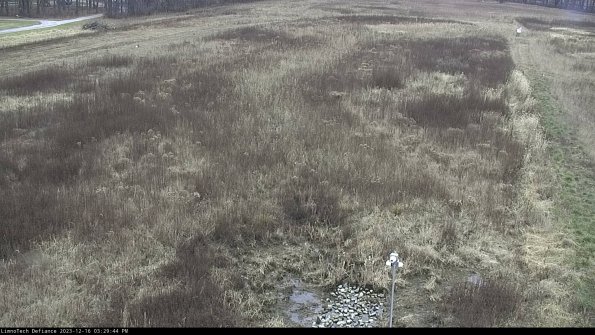 Cell 1_23-12-16_15-29-44-63