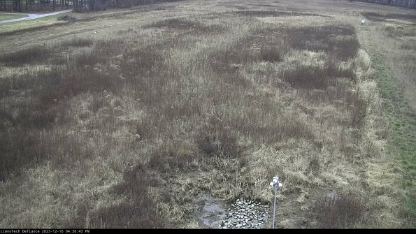 Cell 1_23-12-16_16-36-43-59