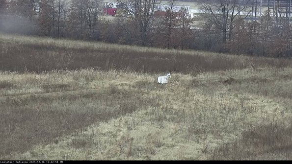 Cell 2 to 3_23-12-16_12-42-58-72