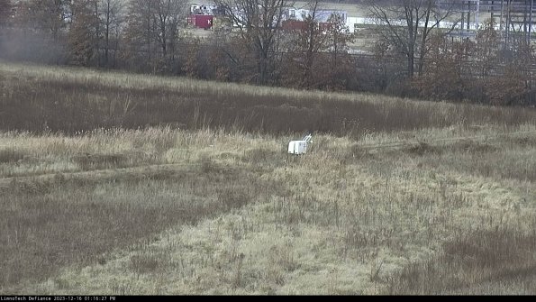 Cell 2 to 3_23-12-16_13-16-27-76