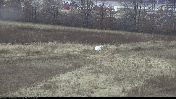 Cell 2 to 3_23-12-16_15-30-24-63