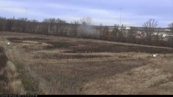 Cell 2_23-12-16_09-21-47-63