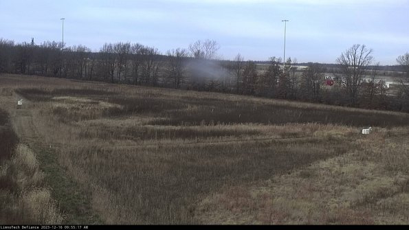 Cell 2_23-12-16_09-55-17-62