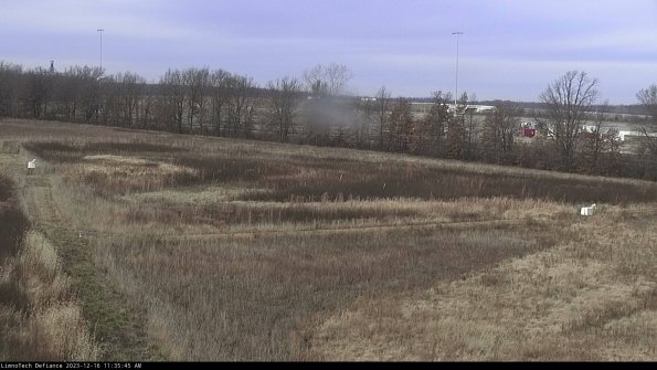 Cell 2_23-12-16_11-35-45-70