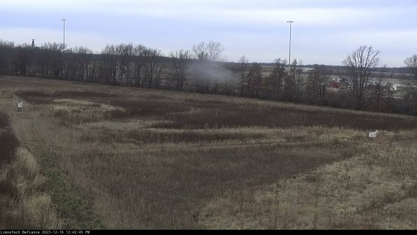 Cell 2_23-12-16_12-42-45-64