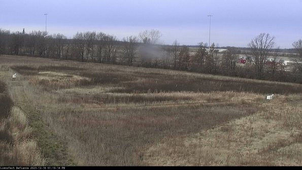 Cell 2_23-12-16_13-16-14-69