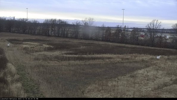 Cell 2_23-12-16_16-37-10-62