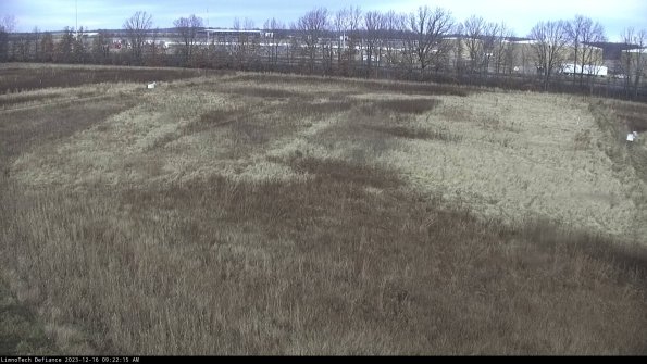 Cell 3_23-12-16_09-22-15-63