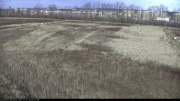 Cell 3_23-12-16_10-29-15-63