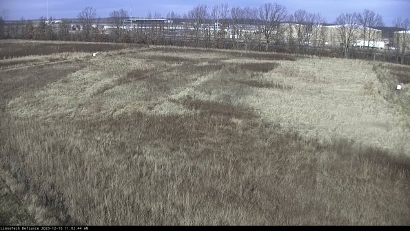 Cell 3_23-12-16_11-02-44-84