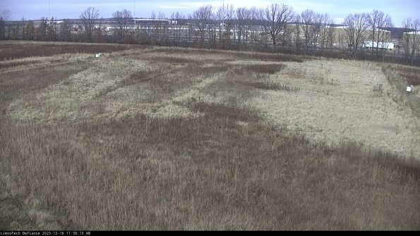 Cell 3_23-12-16_11-36-13-60