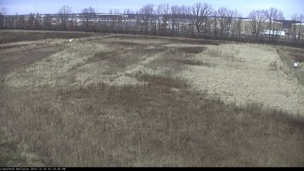 Cell 3_23-12-16_13-16-42-61