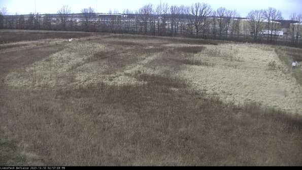 Cell 3_23-12-16_14-57-09-63