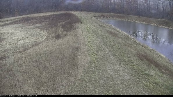 Cell 4 to Basin_23-12-16_09-56-43-64