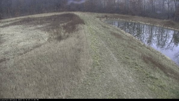 Cell 4 to Basin_23-12-16_13-17-40-64