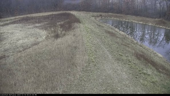 Cell 4 to Basin_23-12-16_15-31-36-61