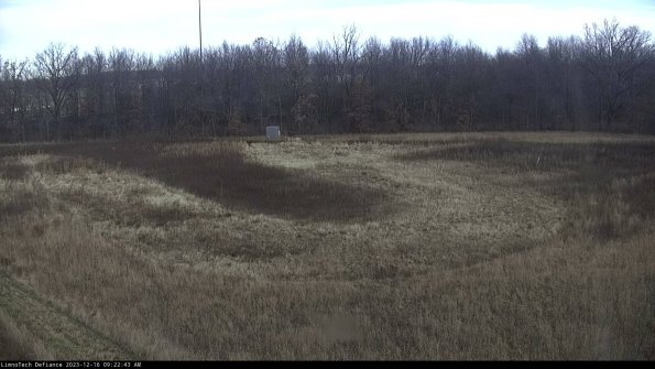 Cell 4_23-12-16_09-22-43-62