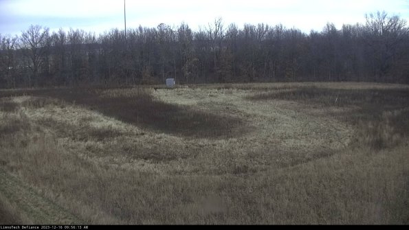 Cell 4_23-12-16_09-56-13-61