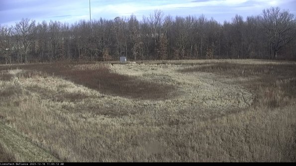 Cell 4_23-12-16_11-03-12-61