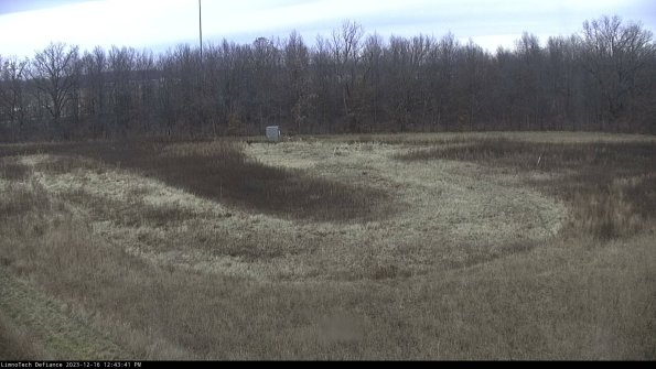 Cell 4_23-12-16_12-43-41-59