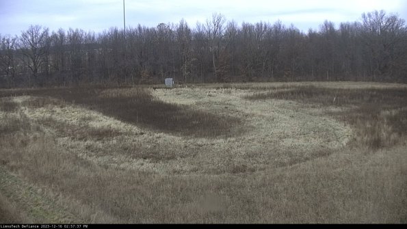 Cell 4_23-12-16_14-57-37-63