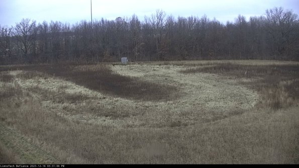 Cell 4_23-12-16_15-31-06-61