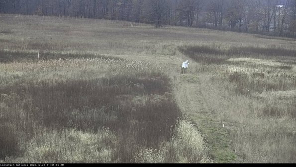 Cell 1 to 2_23-12-21_11-36-05-62