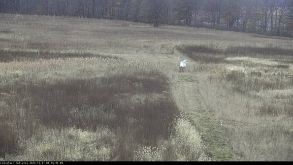 Cell 1 to 2_23-12-21_13-16-35-60