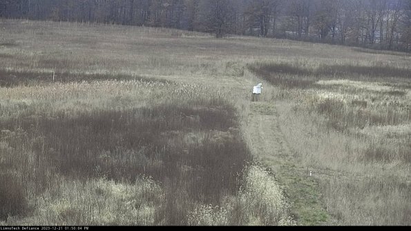 Cell 1 to 2_23-12-21_13-50-04-61